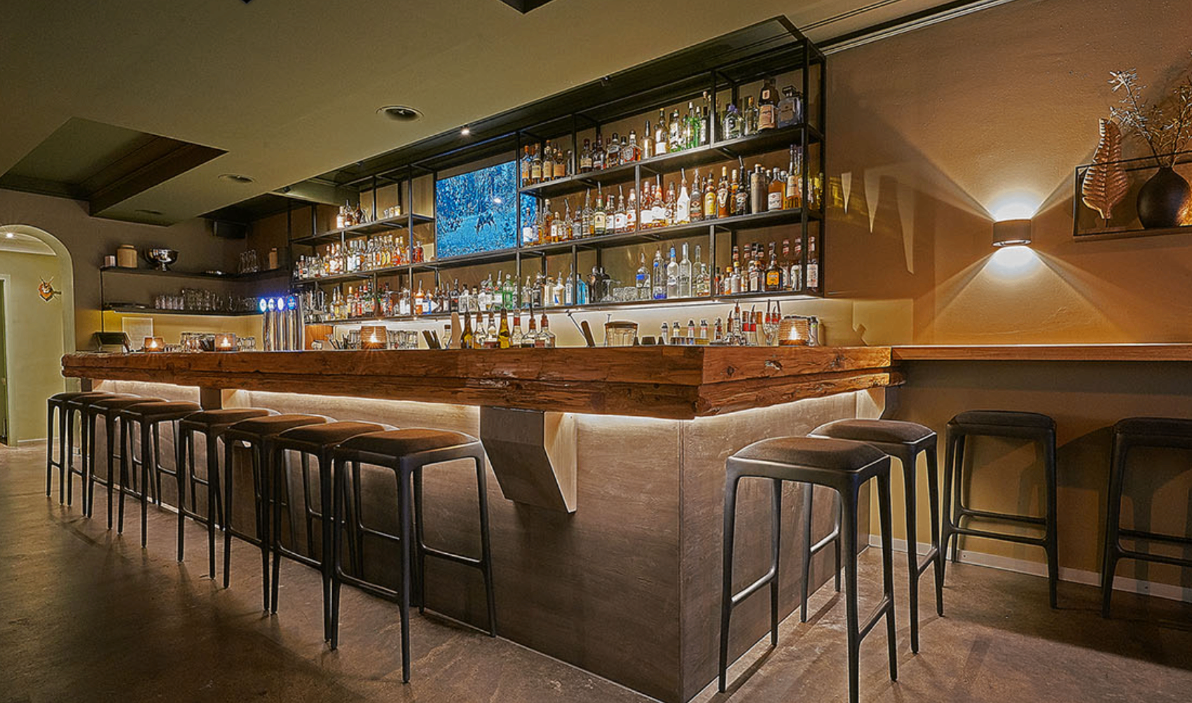 Platzhirsch Bar - Aarau